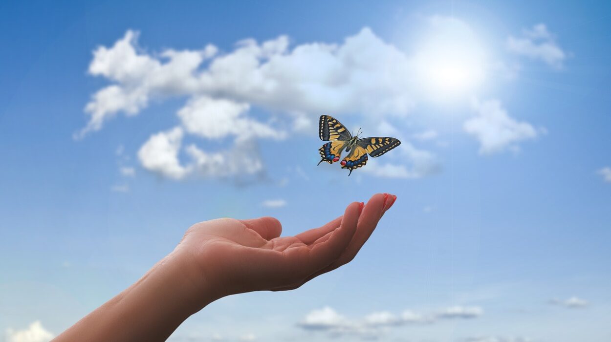 hand, butterfly, clouds