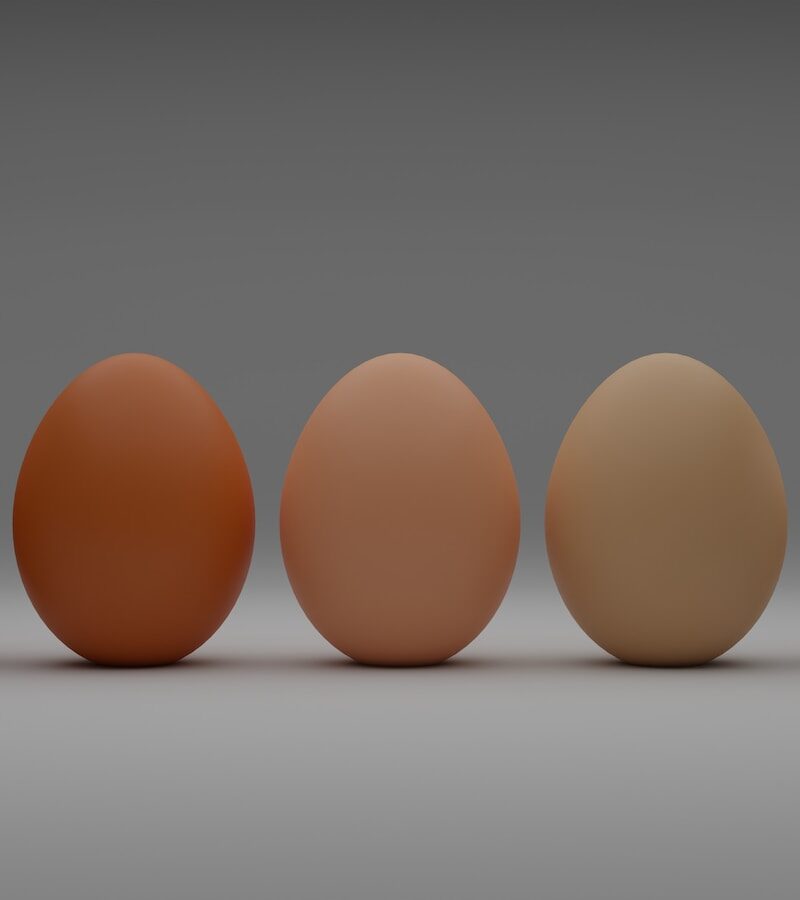 protein and women's health