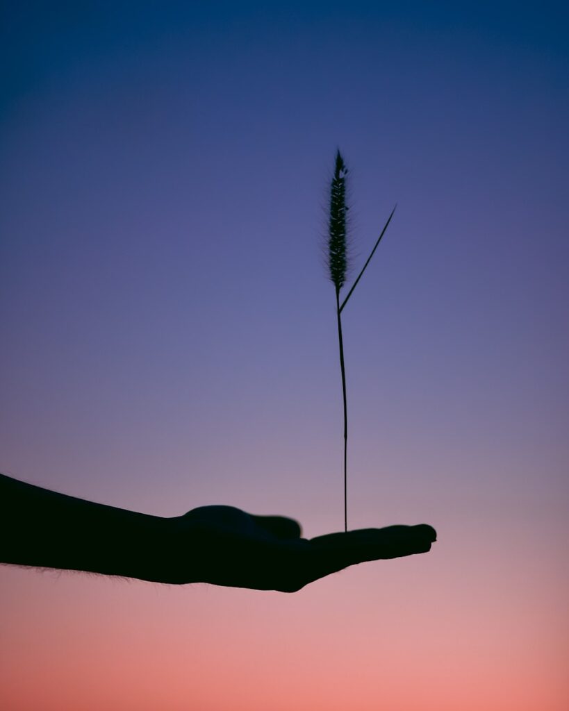 balance